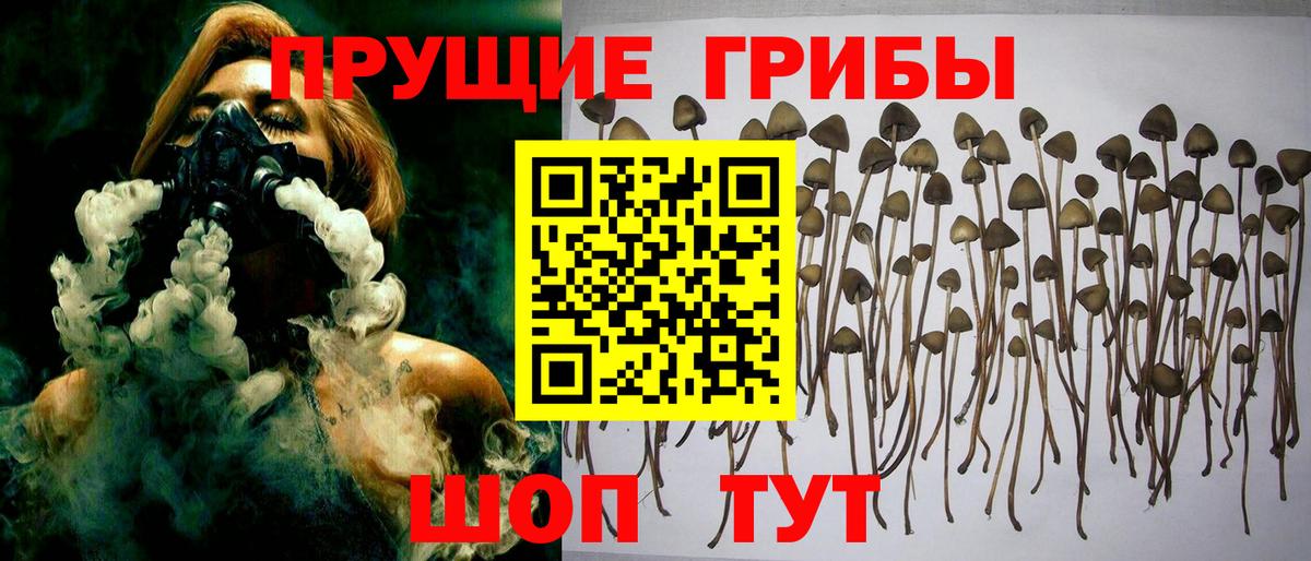 Нижнеудинск  МЕТ  Вход с VPN  Гашиш  Бошки Шишки  МДМА  Меф МЯУ МЯУ кристаллы 